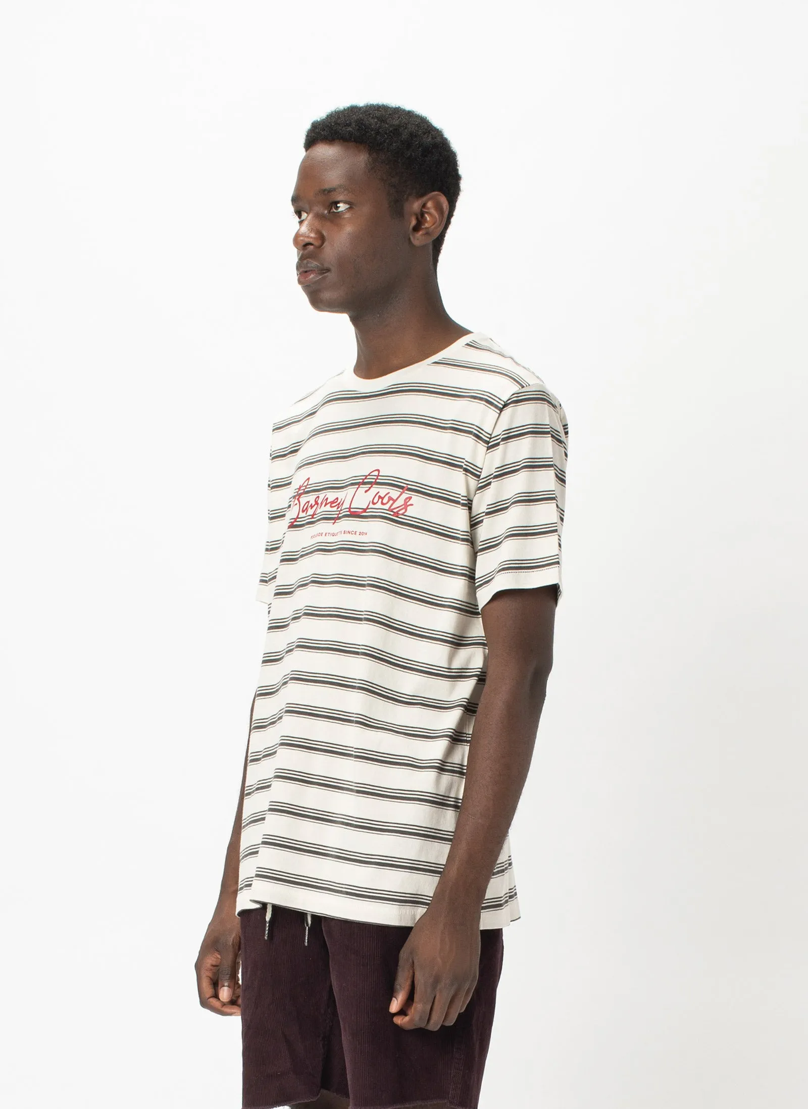 Barney Cools Script Tee Stone Stripe