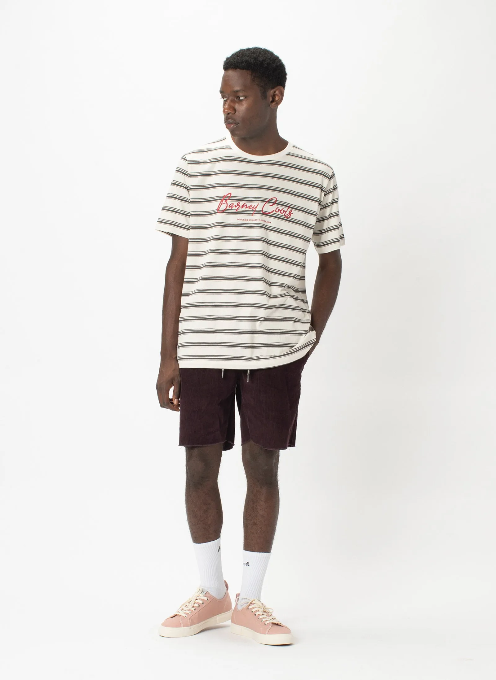 Barney Cools Script Tee Stone Stripe
