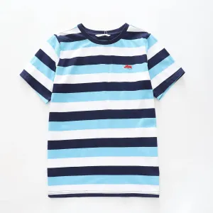 Boy's Blue and Navy Blue Striped Polo Shirt