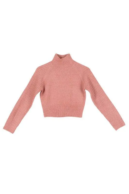 Lilou Crop Mock Neck Raglan Long Sleeves Stretch Sweater