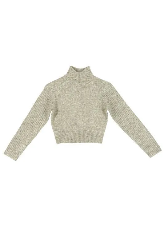 Lilou Crop Mock Neck Raglan Long Sleeves Stretch Sweater