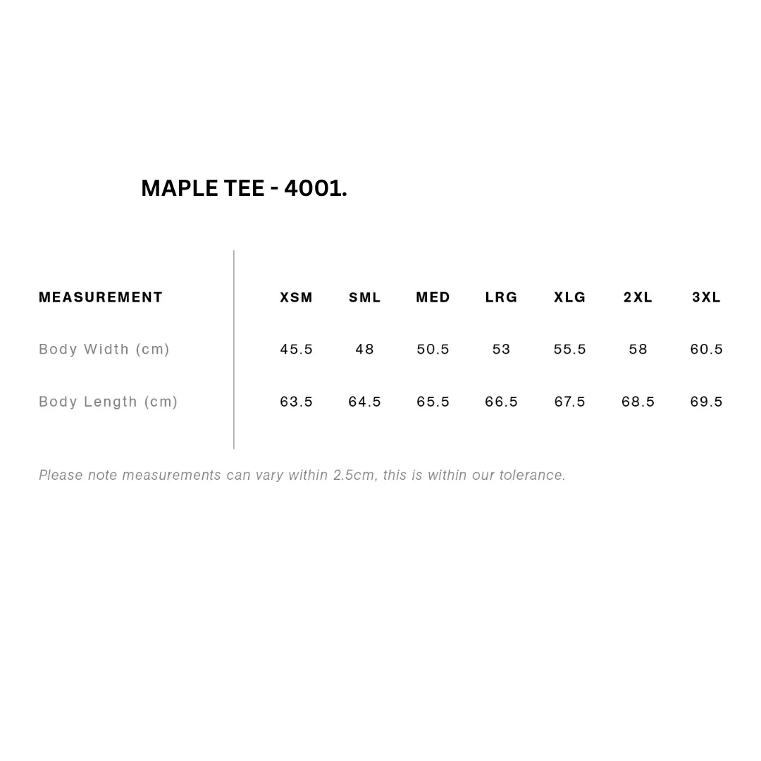 SDH 'Protect Trans Kids' T-Shirt Femme Cut - Sage
